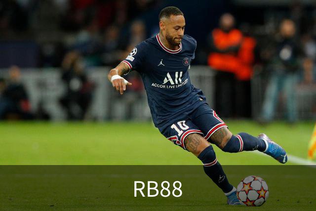 RB88公司简介图片